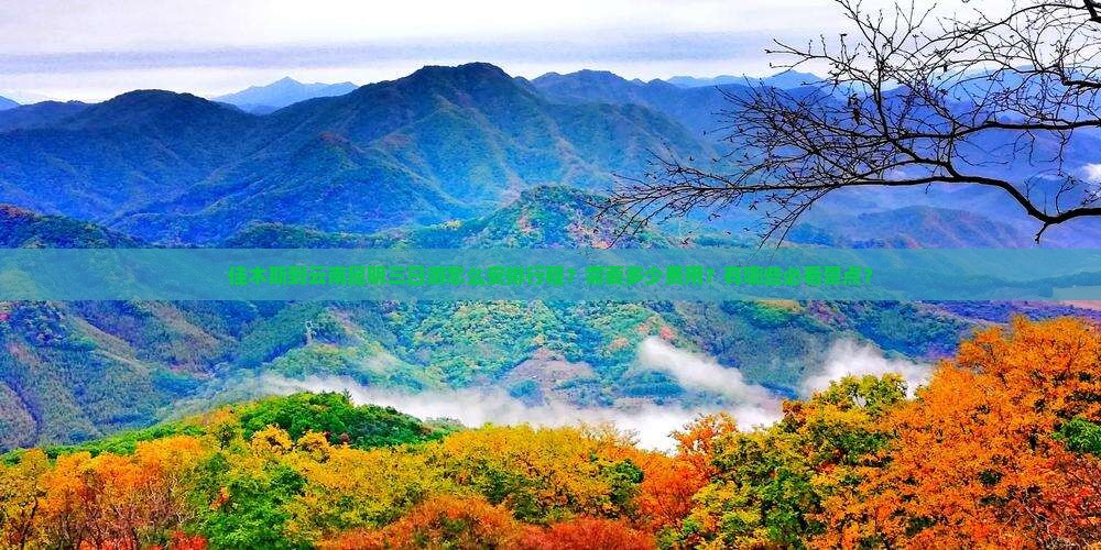 佳木斯到云南昆明三日游怎么安排行程？需要多少费用？有哪些必看景点？