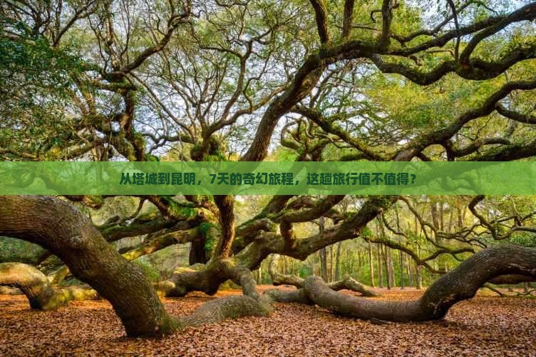 从塔城到昆明，7天的奇幻旅程，这趟旅行值不值得？