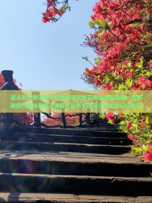 遵义到云南洱海七日游旅游攻略云南旅游信息第一自助游旅行路线看看云南景点昆明大理丽江湖南旅行社国际线路