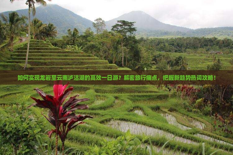 如何实现龙岩至云南泸沽湖的高效一日游？解密旅行痛点，把握新趋势热词攻略！