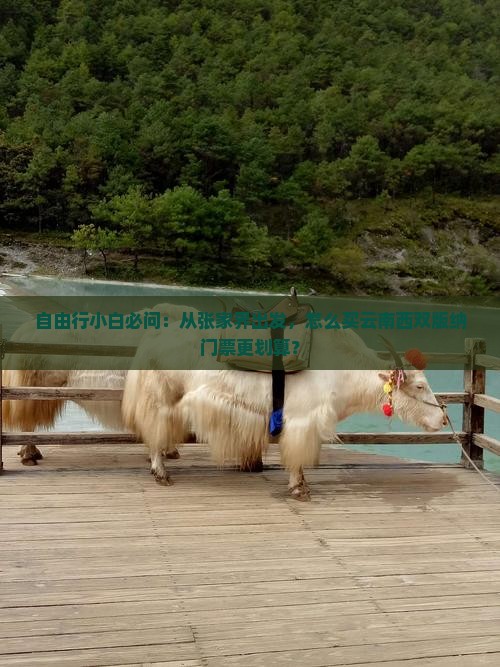 自由行小白必问：从张家界出发，怎么买云南西双版纳门票更划算？