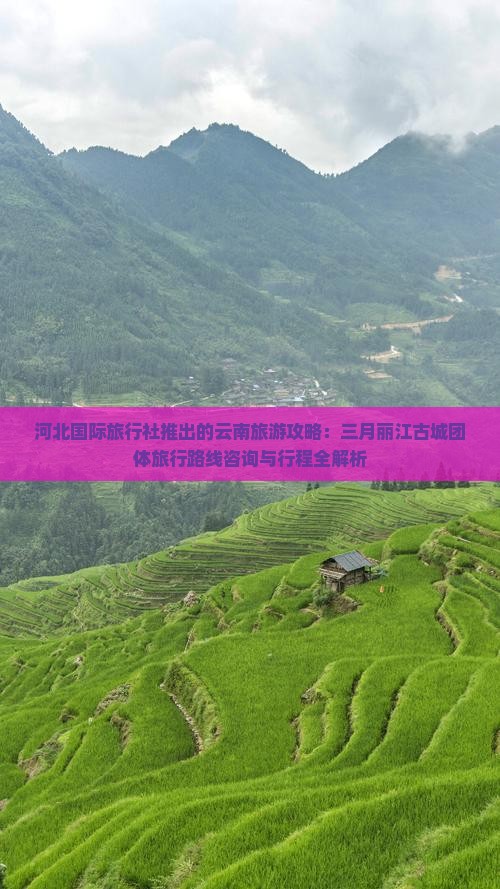 河北国际旅行社推出的云南旅游攻略：三月丽江古城团体旅行路线咨询与行程全解析