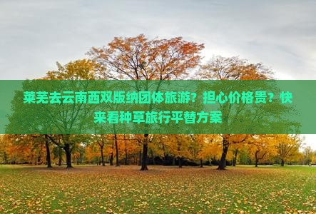 莱芜去云南西双版纳团体旅游？担心价格贵？快来看种草旅行平替方案