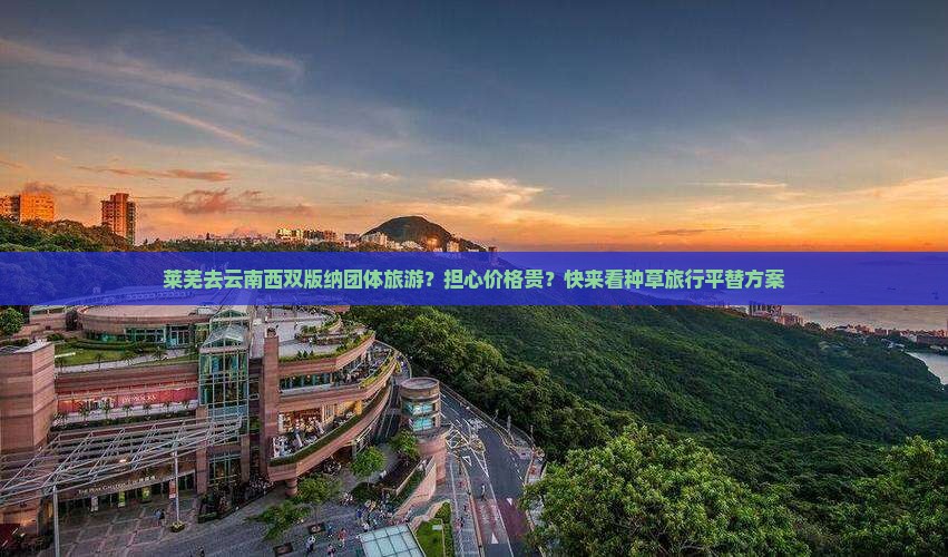 莱芜去云南西双版纳团体旅游？担心价格贵？快来看种草旅行平替方案