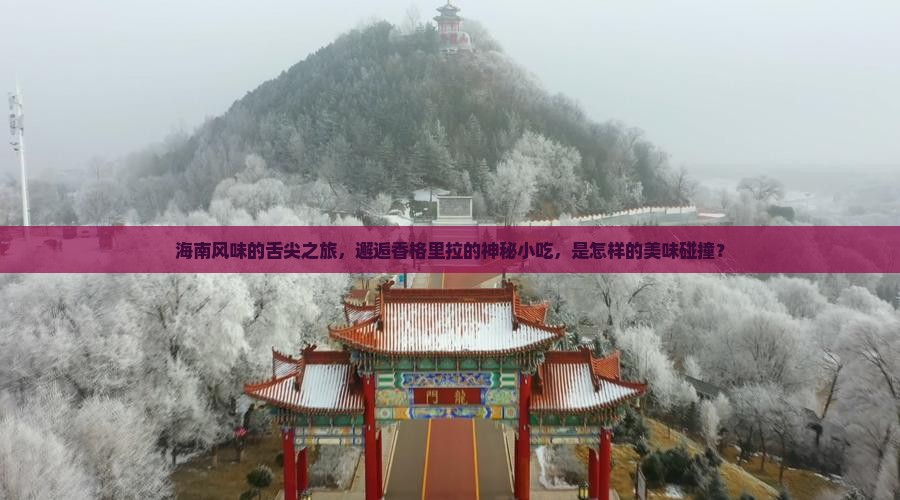 海南风味的舌尖之旅，邂逅香格里拉的神秘小吃，是怎样的美味碰撞？