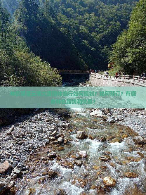 神农架至云南大理团体旅行如何规划？如何预订？有哪些特色路线和优惠？