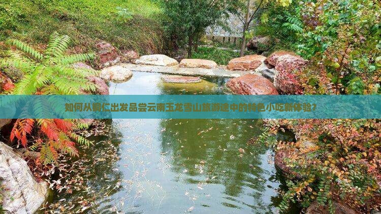如何从铜仁出发品尝云南玉龙雪山旅游途中的特色小吃新体验？