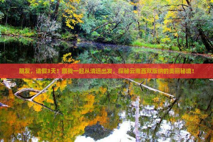 朋友，请假3天！跟我一起从清远出发，探秘云南西双版纳的美丽秘境！