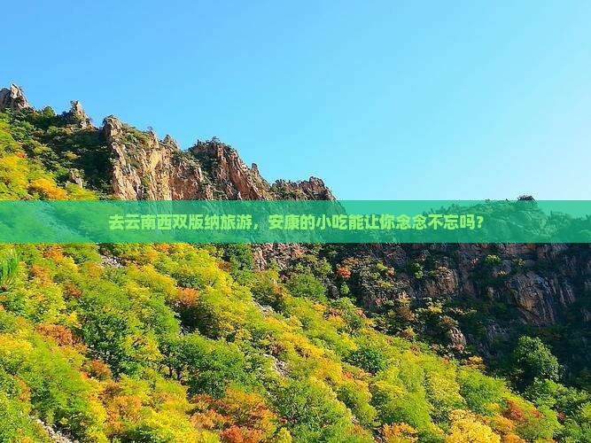 去云南西双版纳旅游，安康的小吃能让你念念不忘吗？
