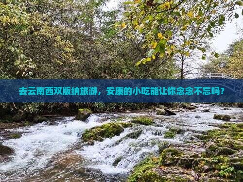 去云南西双版纳旅游，安康的小吃能让你念念不忘吗？