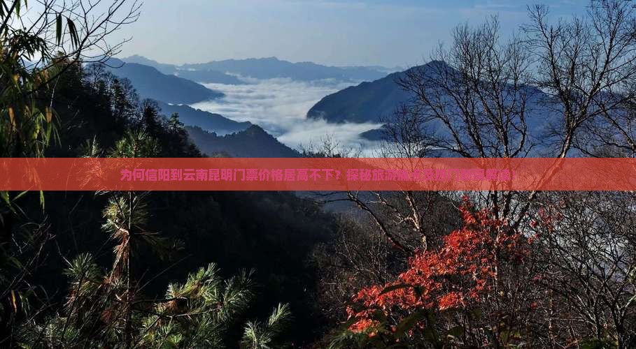 为何信阳到云南昆明门票价格居高不下？探秘旅游痛点及热门新词解读！