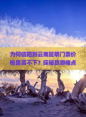 为何信阳到云南昆明门票价格居高不下？探秘旅游痛点及热门新词解读！