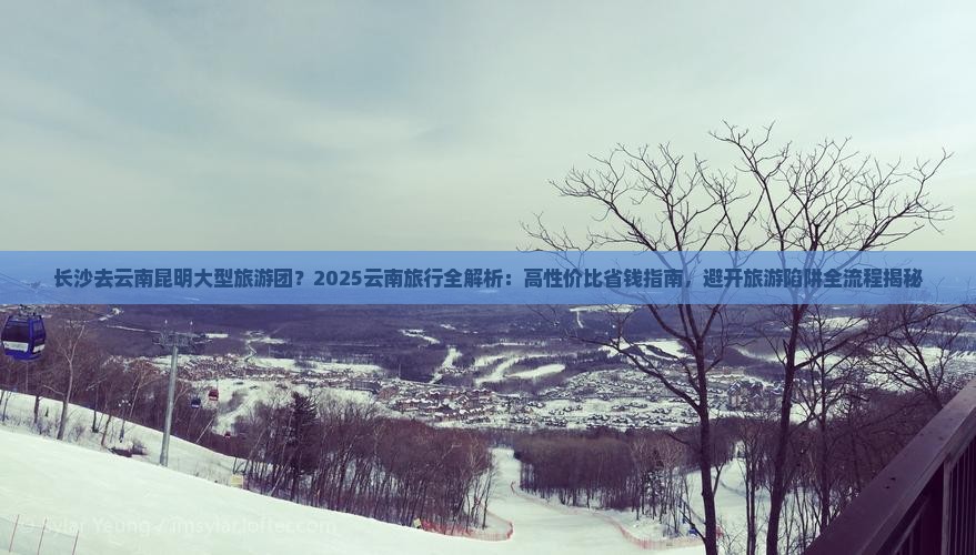 长沙去云南昆明大型旅游团
