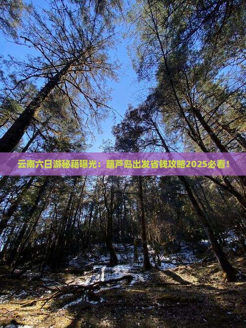 葫芦岛去云南六日游