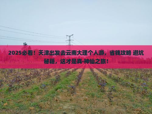 天津去云南大理个人游