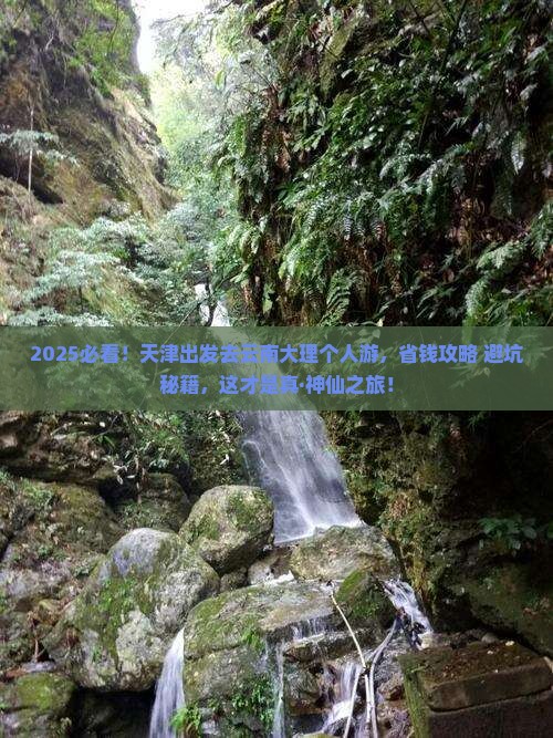 天津去云南大理个人游