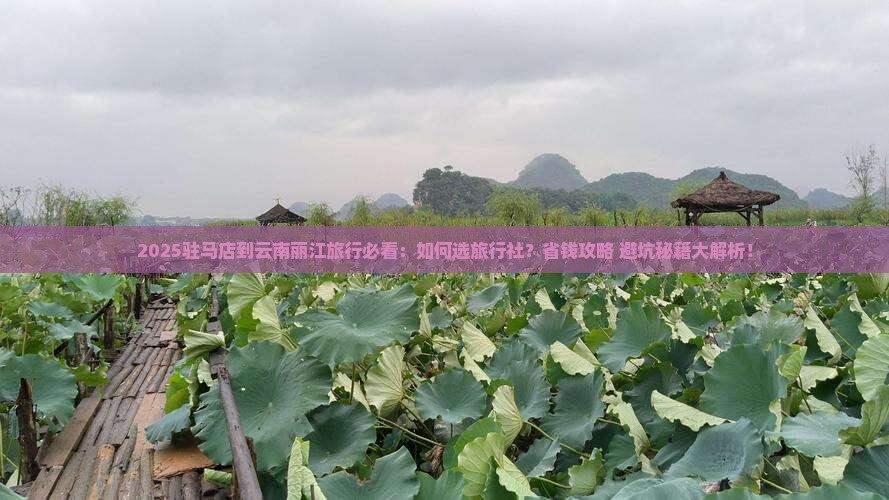 驻马店到云南丽江旅行社