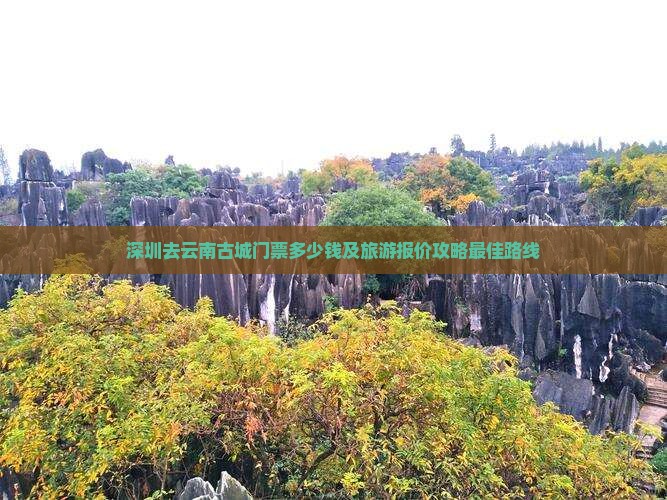 深圳去云南古城门票