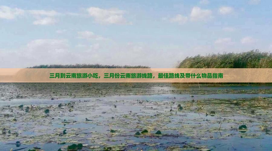 三月到云南旅游小吃
