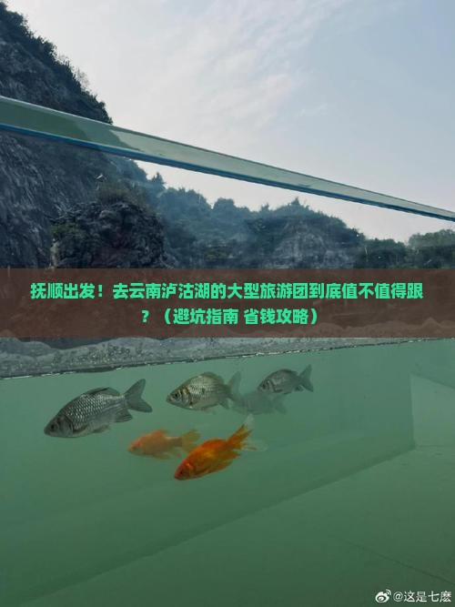抚顺去云南泸沽湖大型旅游团