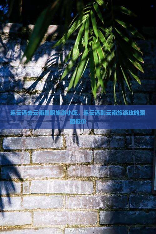 连云港去云南昆明旅游小吃