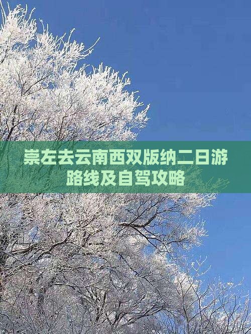 崇左去云南西双版纳二日游
