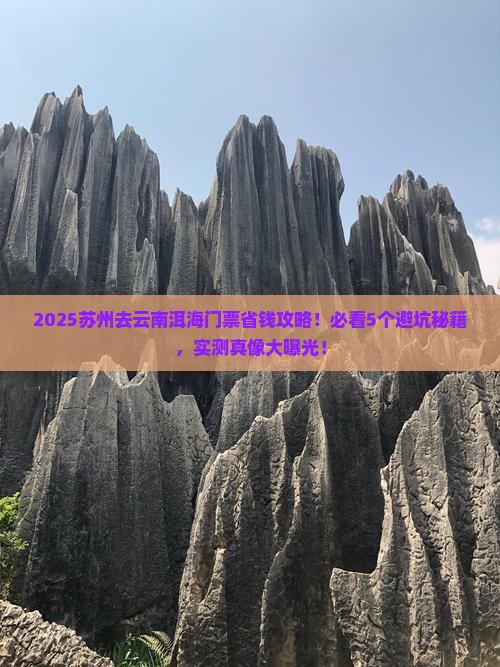 苏州去云南洱海门票