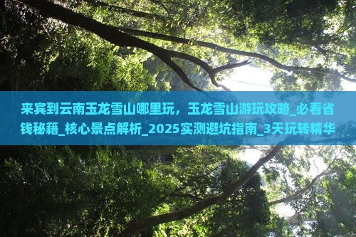 来宾到云南玉龙雪山哪里玩