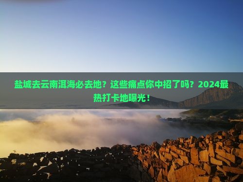 盐城去云南洱海必去地