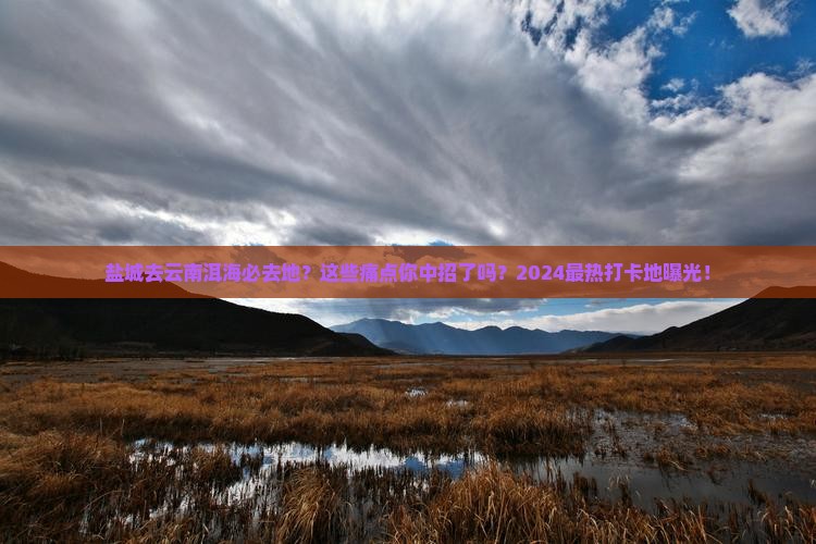 盐城去云南洱海必去地