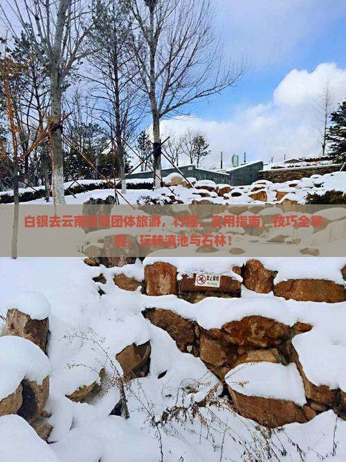 白银去云南昆明团体旅游
