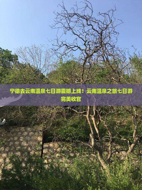 宁德去云南温泉七日游