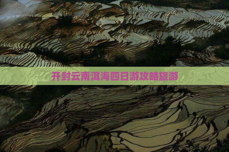 开封去云南洱海四日游