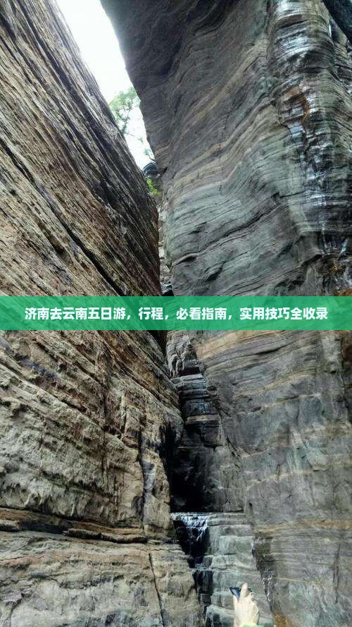 济南去云南五日游