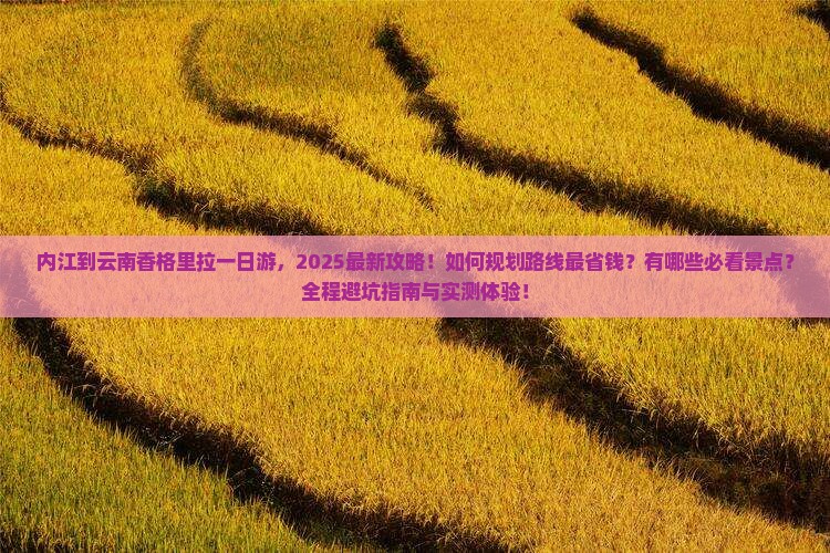 内江到云南香格里拉一日