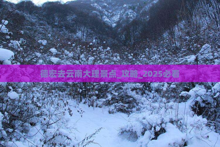 德宏去云南大理景点
