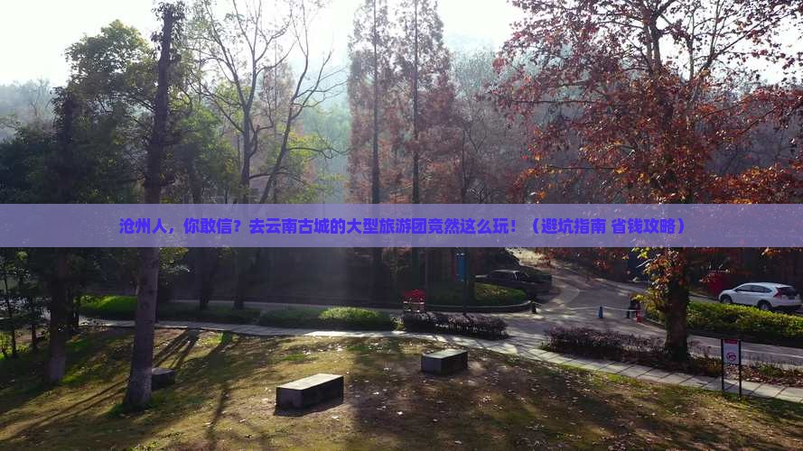 沧州去云南古城大型旅游团