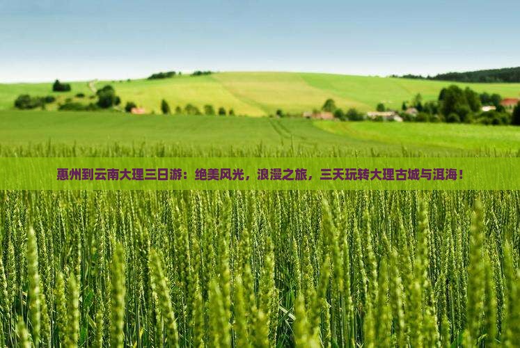 惠州到云南大理三日游