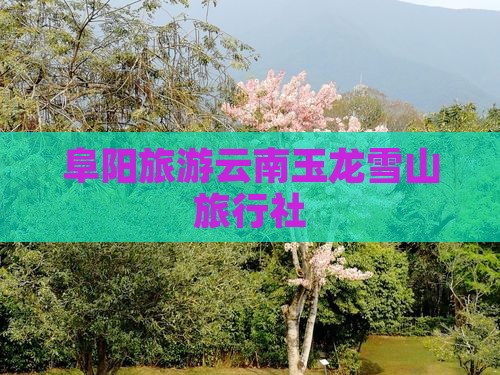 阜阳去云南玉龙雪山旅行社