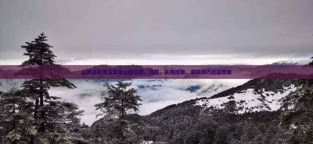 山南去云南玉龙雪山四日游