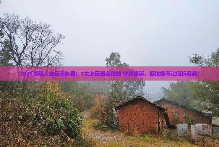 阜阳去云南景点
