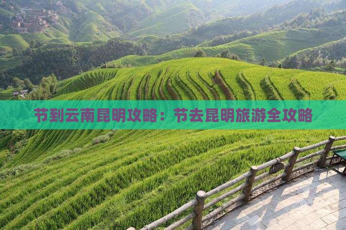 节到云南昆明攻略：节去昆明旅游全攻略