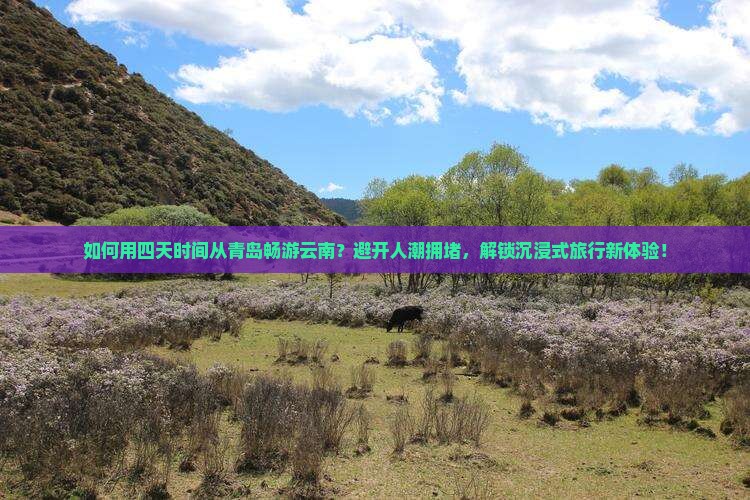如何用四天时间从青岛畅游云南？避开人潮拥堵，解锁沉浸式旅行新体验！