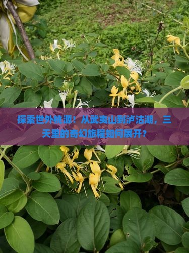 探索世外桃源！从武夷山到泸沽湖，三天里的奇幻旅程如何展开？