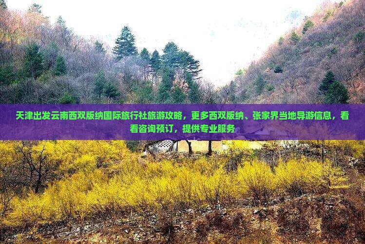 天津出发云南西双版纳国际旅行社旅游攻略，更多西双版纳、张家界当地导游信息，看看咨询预订，提供专业服务