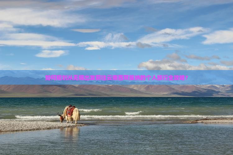 如何规划从无锡出发前往云南西双版纳的个人旅行全攻略？