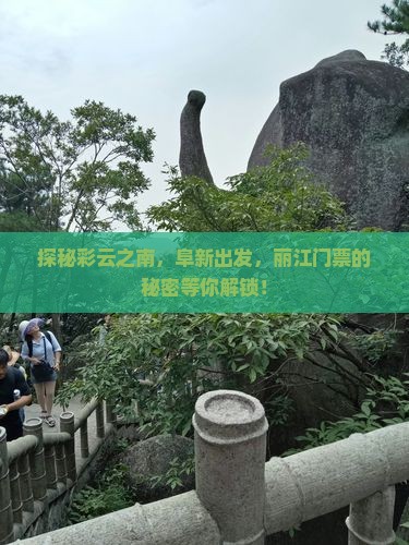 探秘彩云之南，阜新出发，丽江门票的秘密等你解锁！