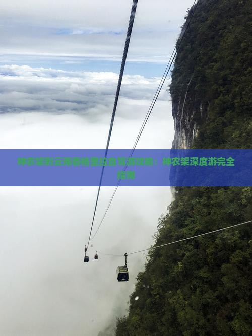 神农架到云南香格里拉自驾游攻略：神农架深度游完全指南