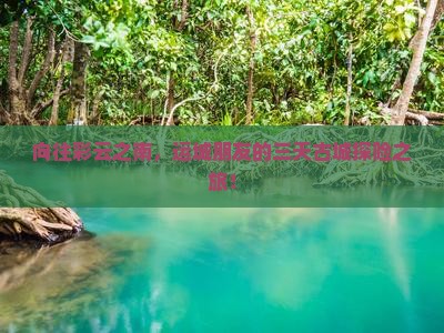 向往彩云之南，运城朋友的三天古城探险之旅！