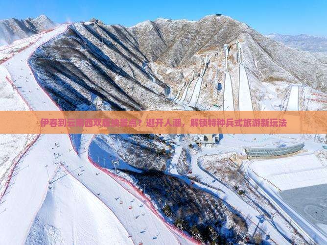 伊春到云南西双版纳景点？避开人潮，解锁特种兵式旅游新玩法